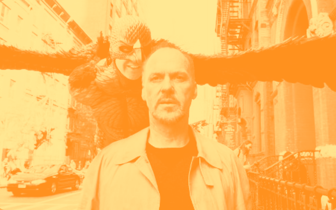 Articolo per birdman
